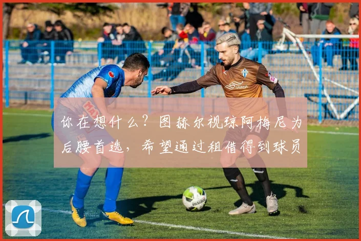 你在想什么？图赫尔视琼阿梅尼为后腰首选，希望通过租借得到球员