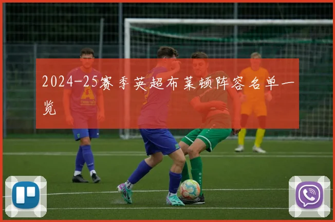 2024-25赛季英超布莱顿阵容名单一览