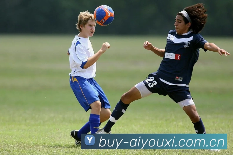 爱游戏体育APP 封面图